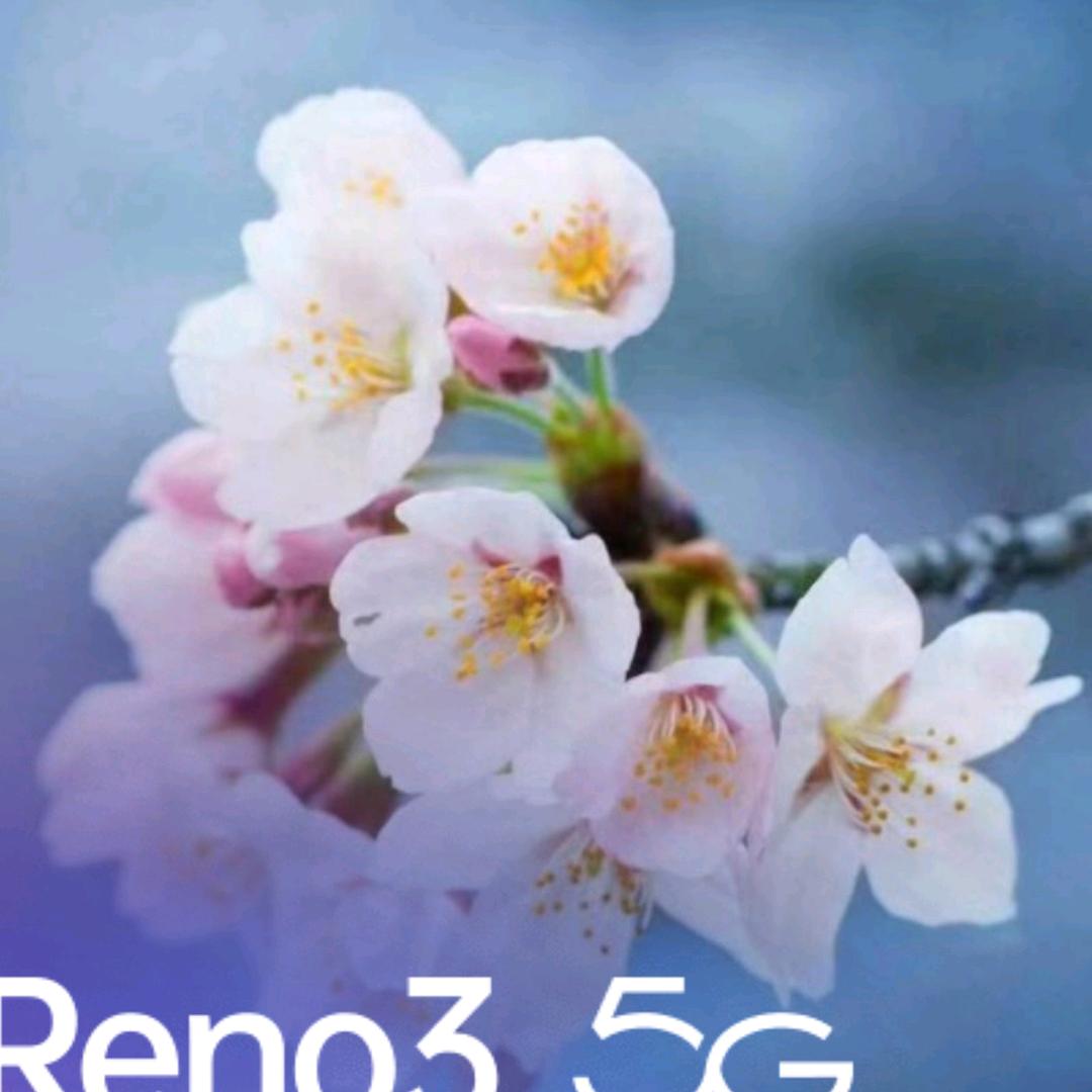 淡泊名志宁静致远