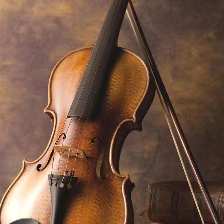 唯有琴音，深藏我心
