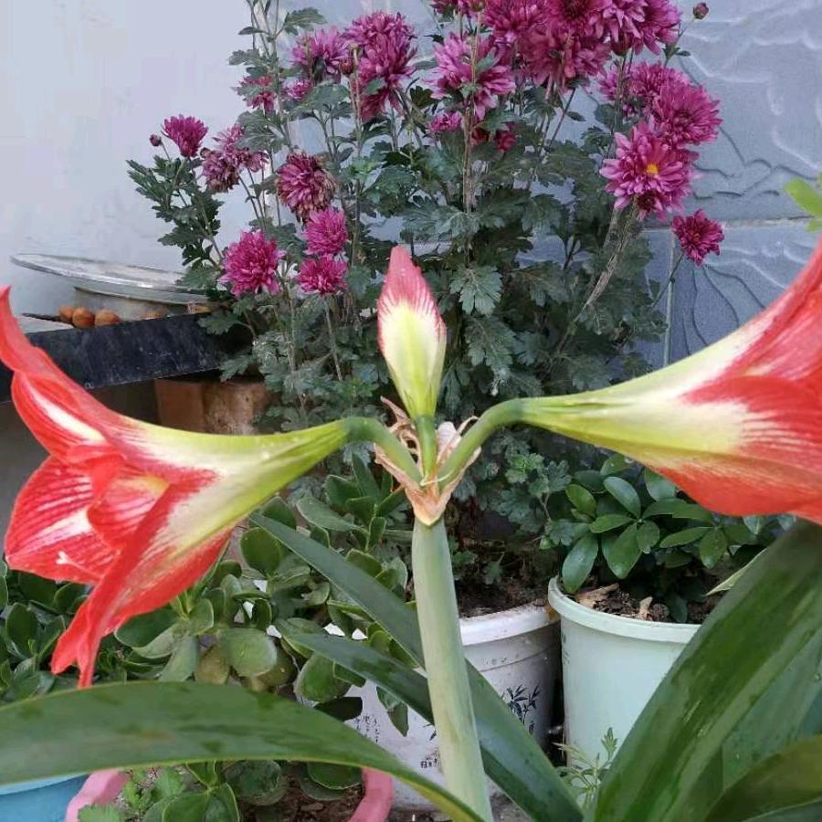 走自🌺己的🏵路🌸让🌻别🌹人🌷说💐去🥀吧🎋