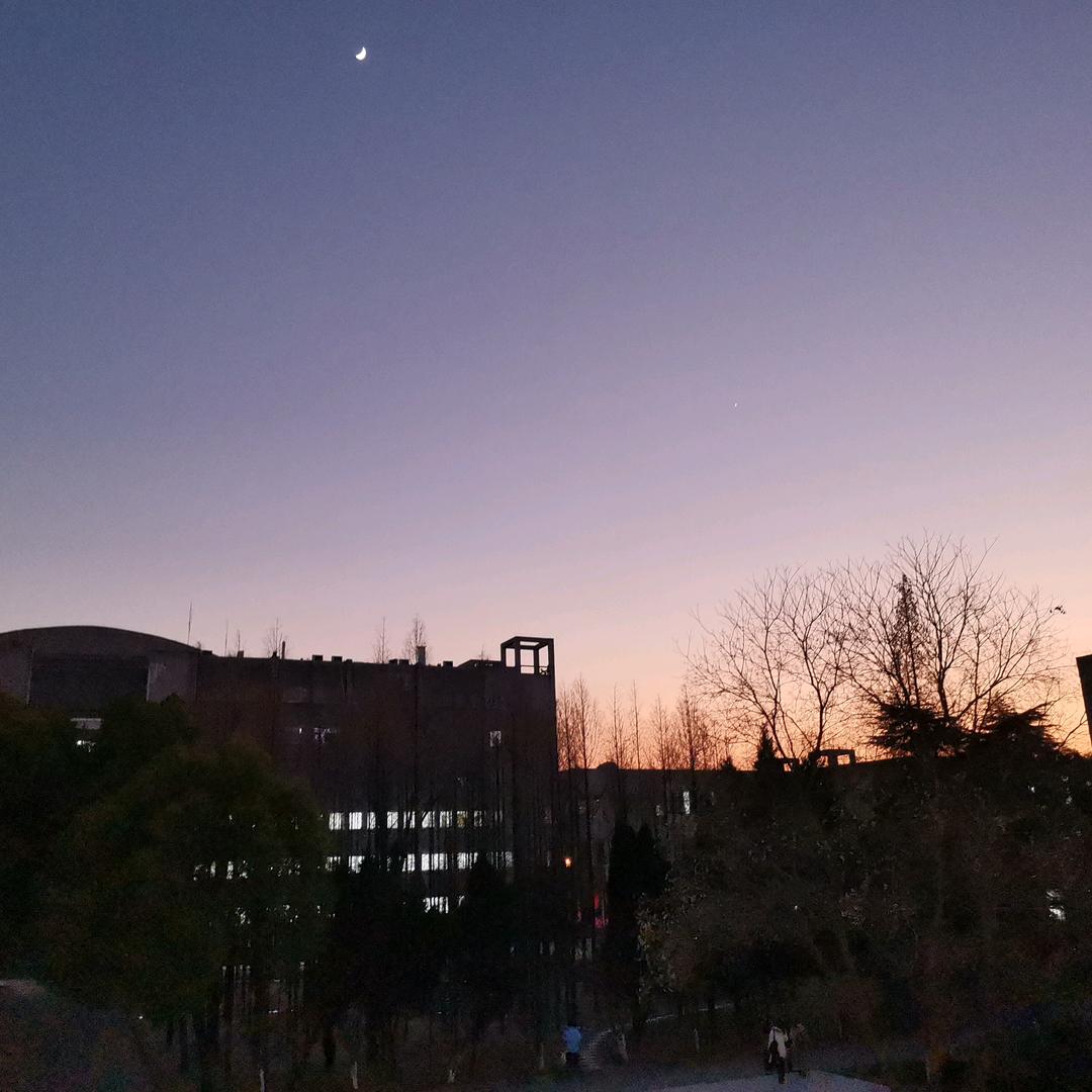 只是当时已惘然