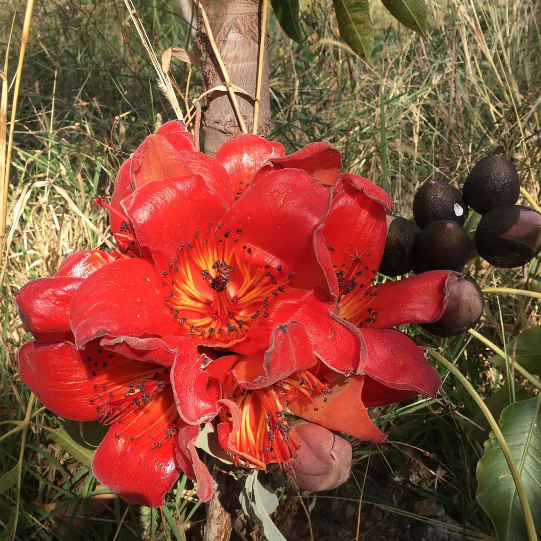 西昌妹儿在简阳(天悦理疗)