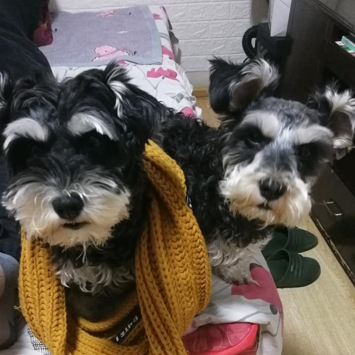 踏👣雪荨木每💞