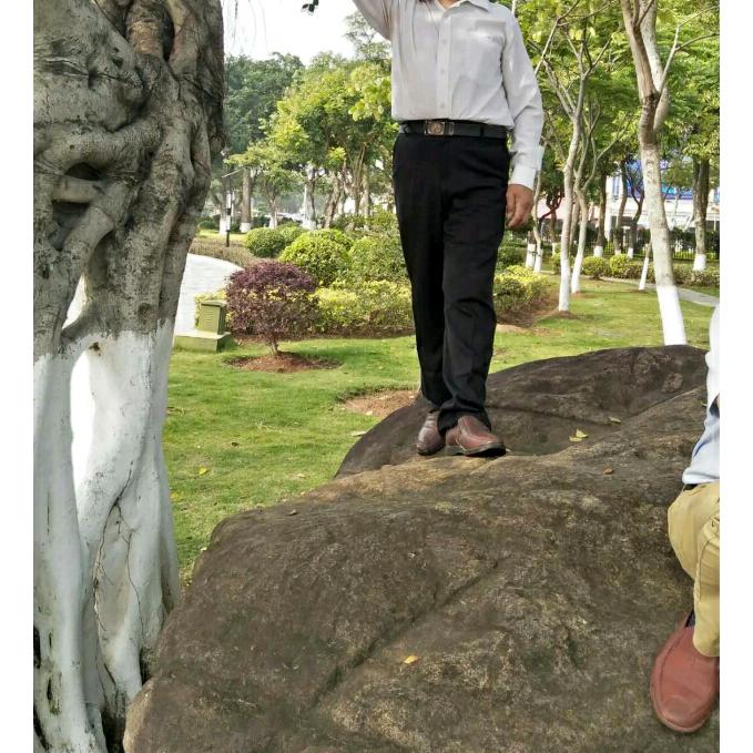 舞狮龙灯家