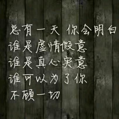 AAA苏皖月季玫瑰直销
