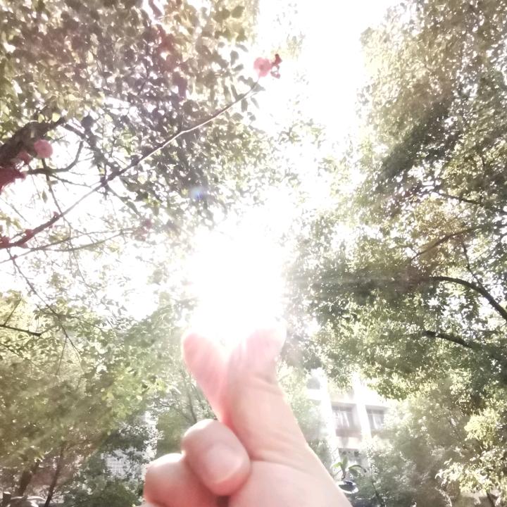 𖤣𖥧叶小扬𖥣｡