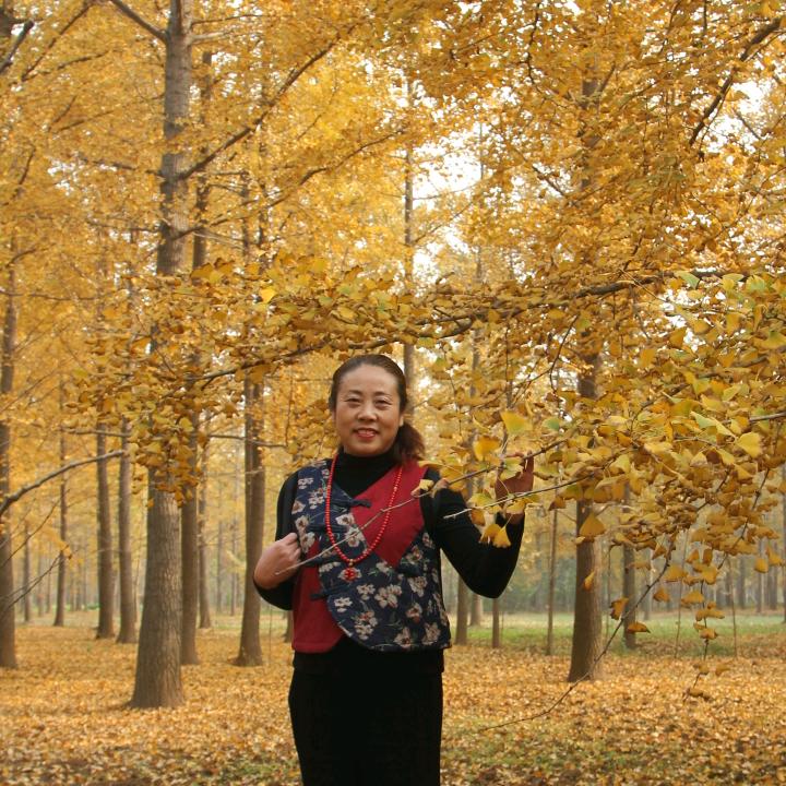 花开蔷薇