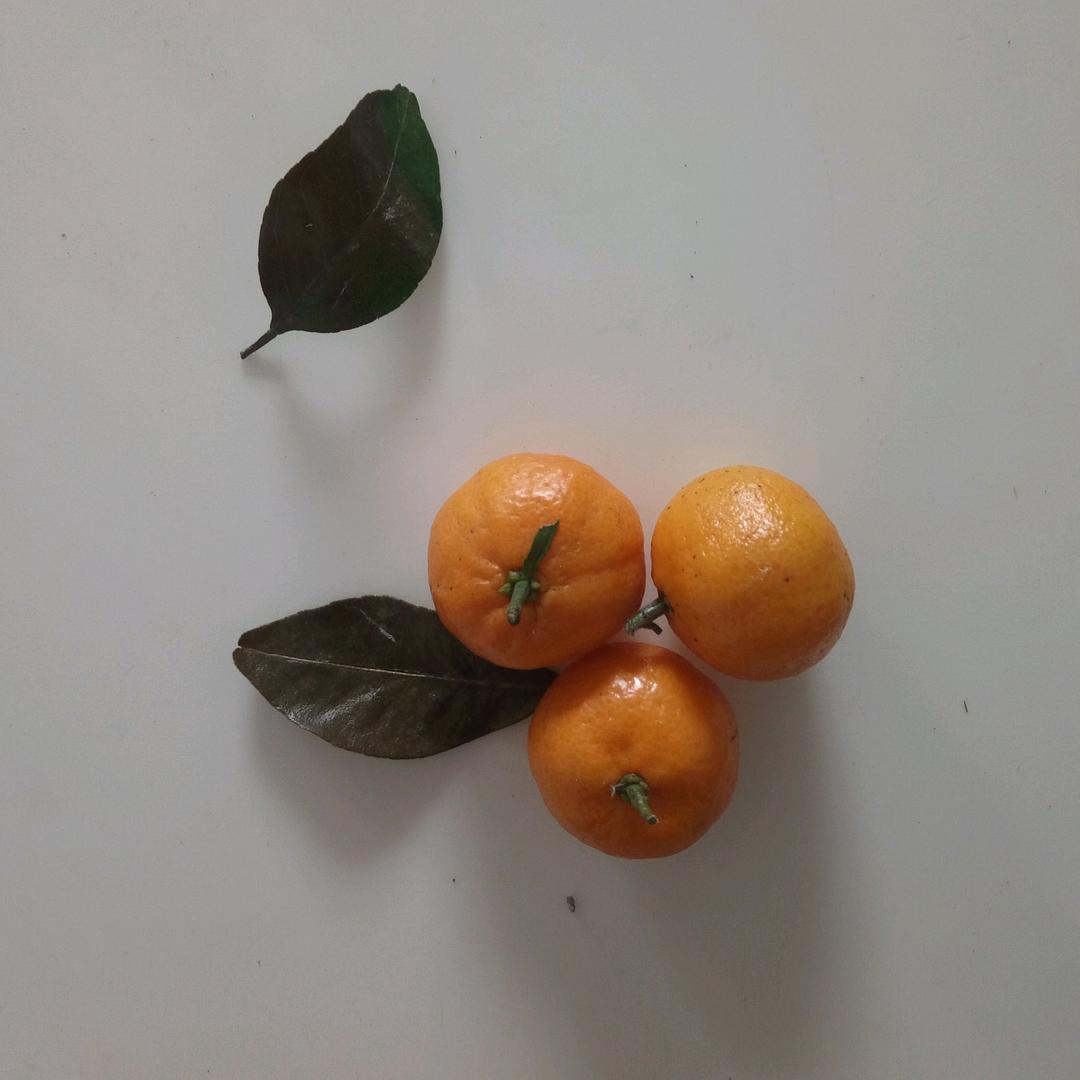 时光无限好