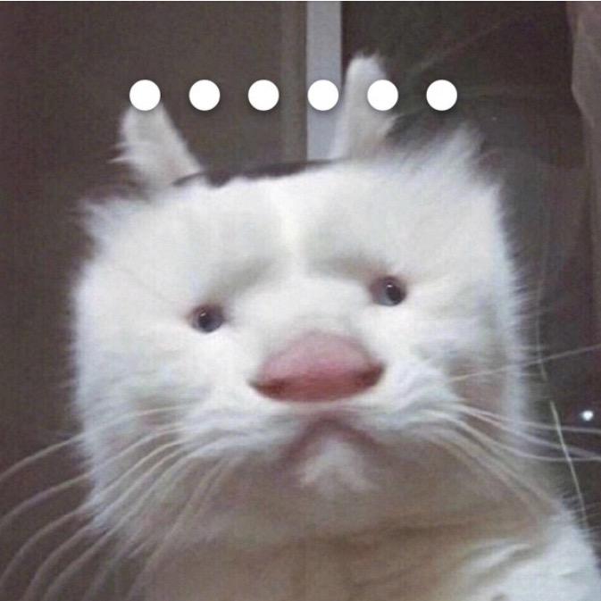 昭不举