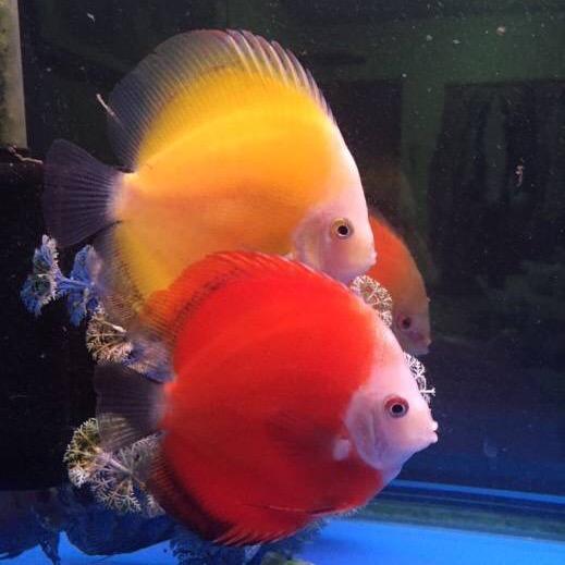 荣荣