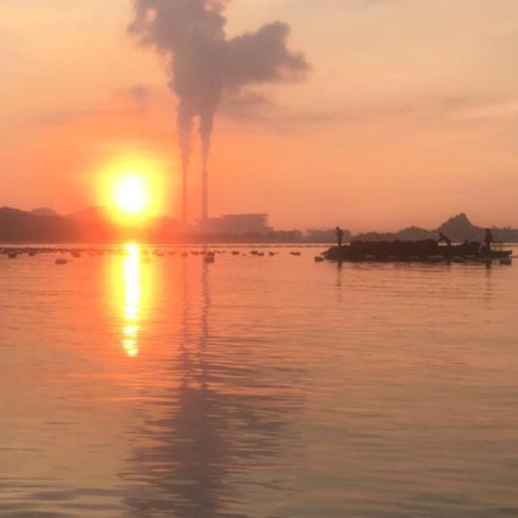 我——笨猪、最笠的人。