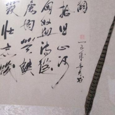 忘了人间