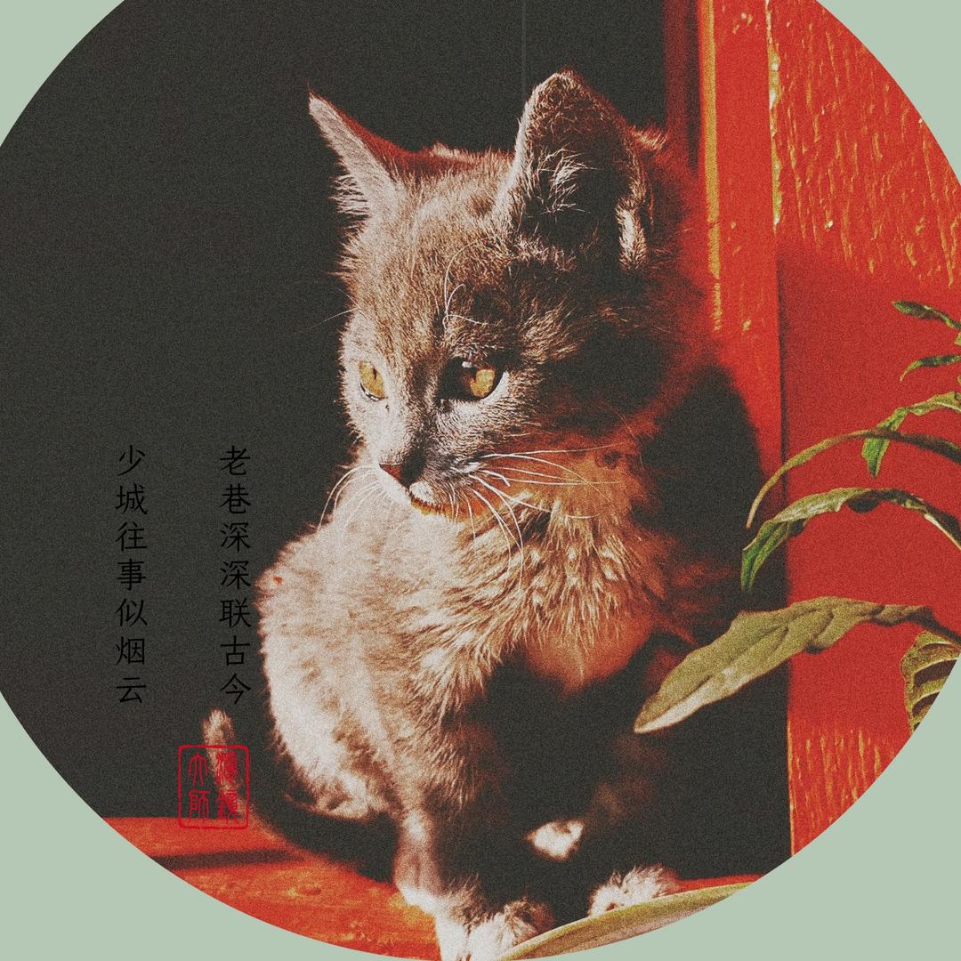 旅人~时间飞行