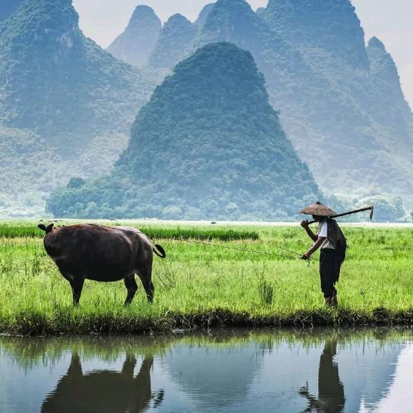寻找舌尖上的美食