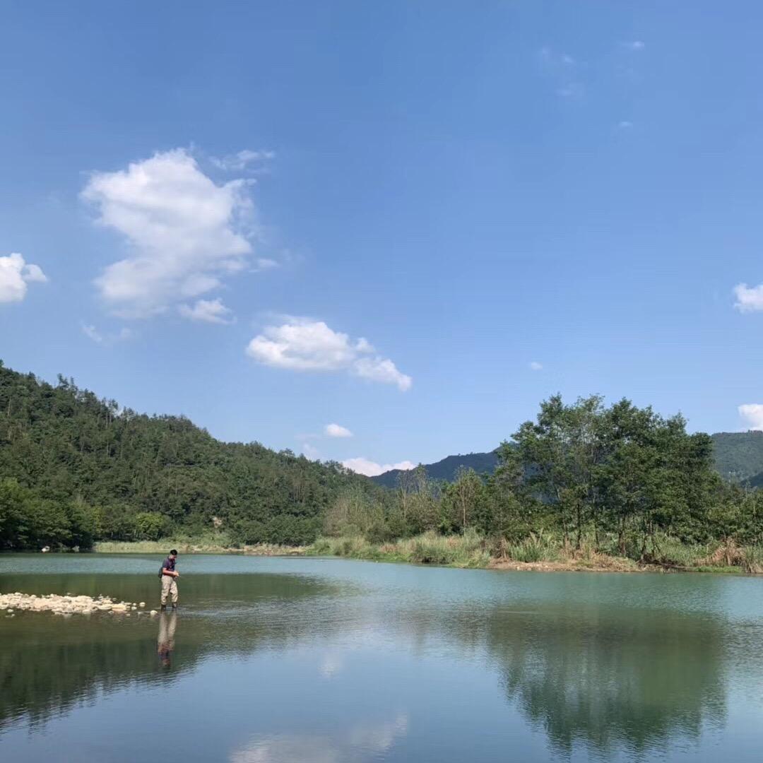 蒋道理啊