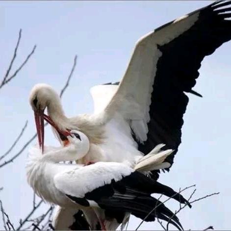 暖人心