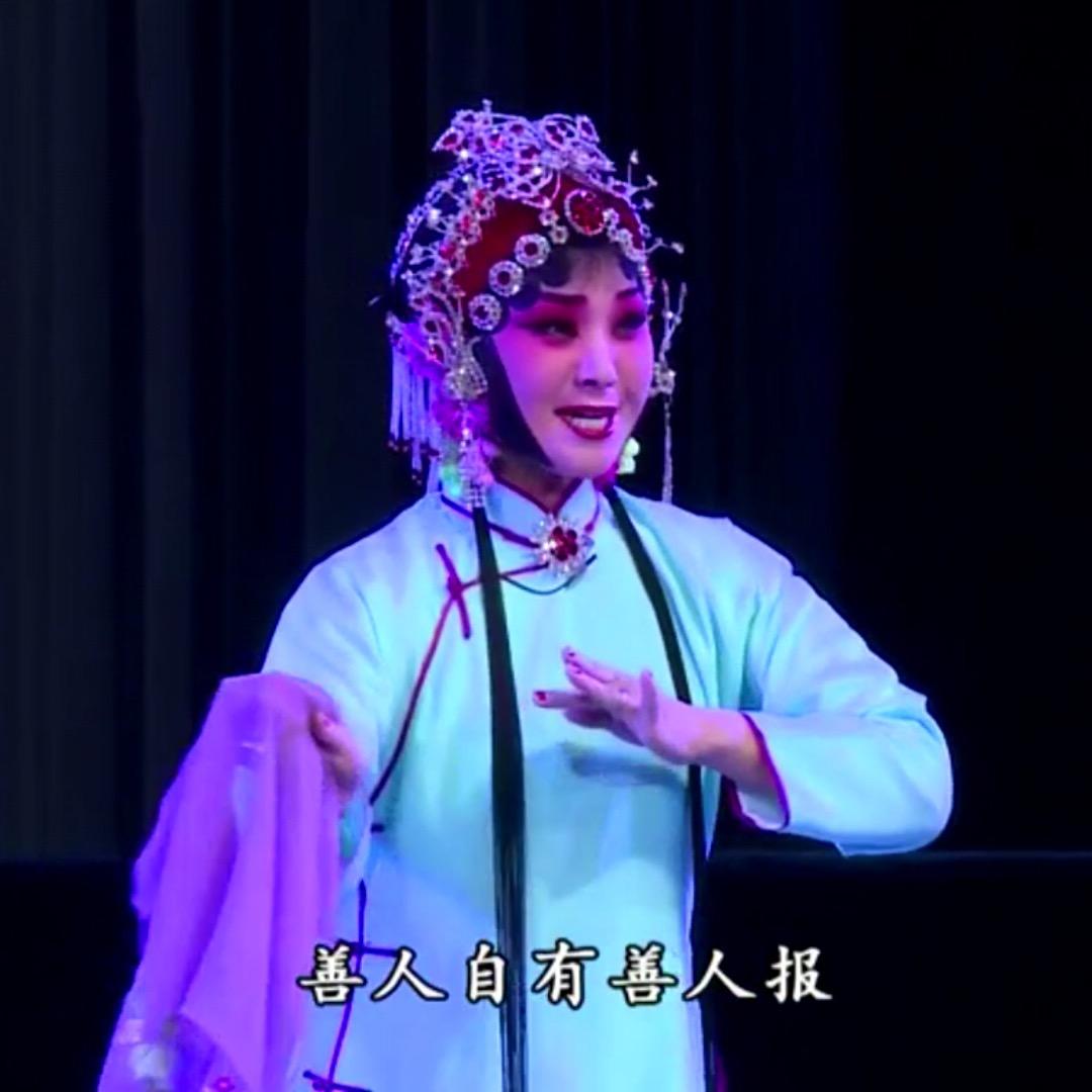 忧伤枯叶蝶