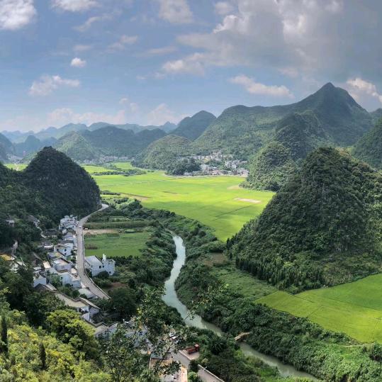 凝香雅意