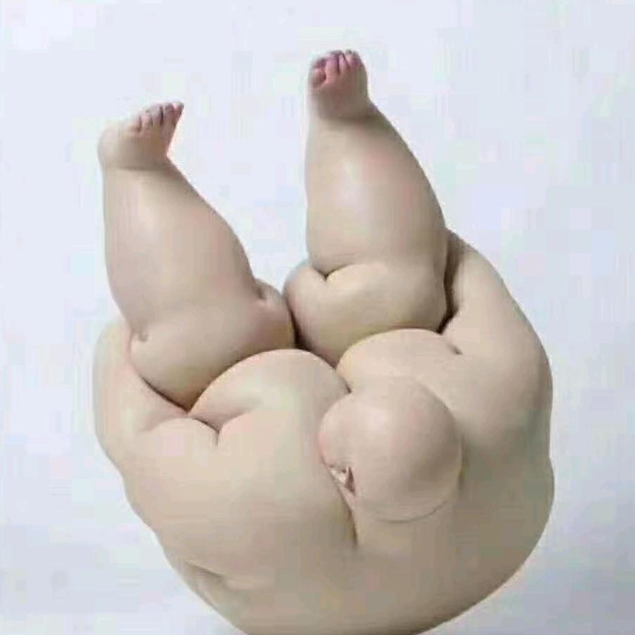 徐木树