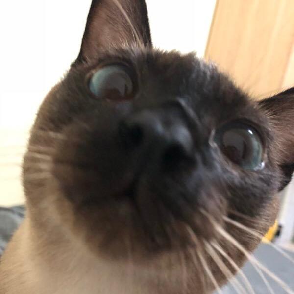 夏日大小姐