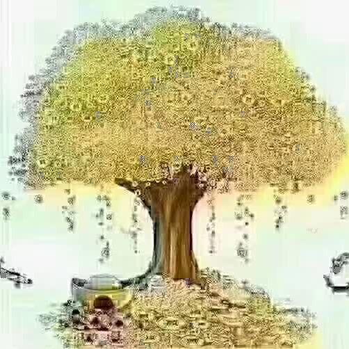 花生豆
