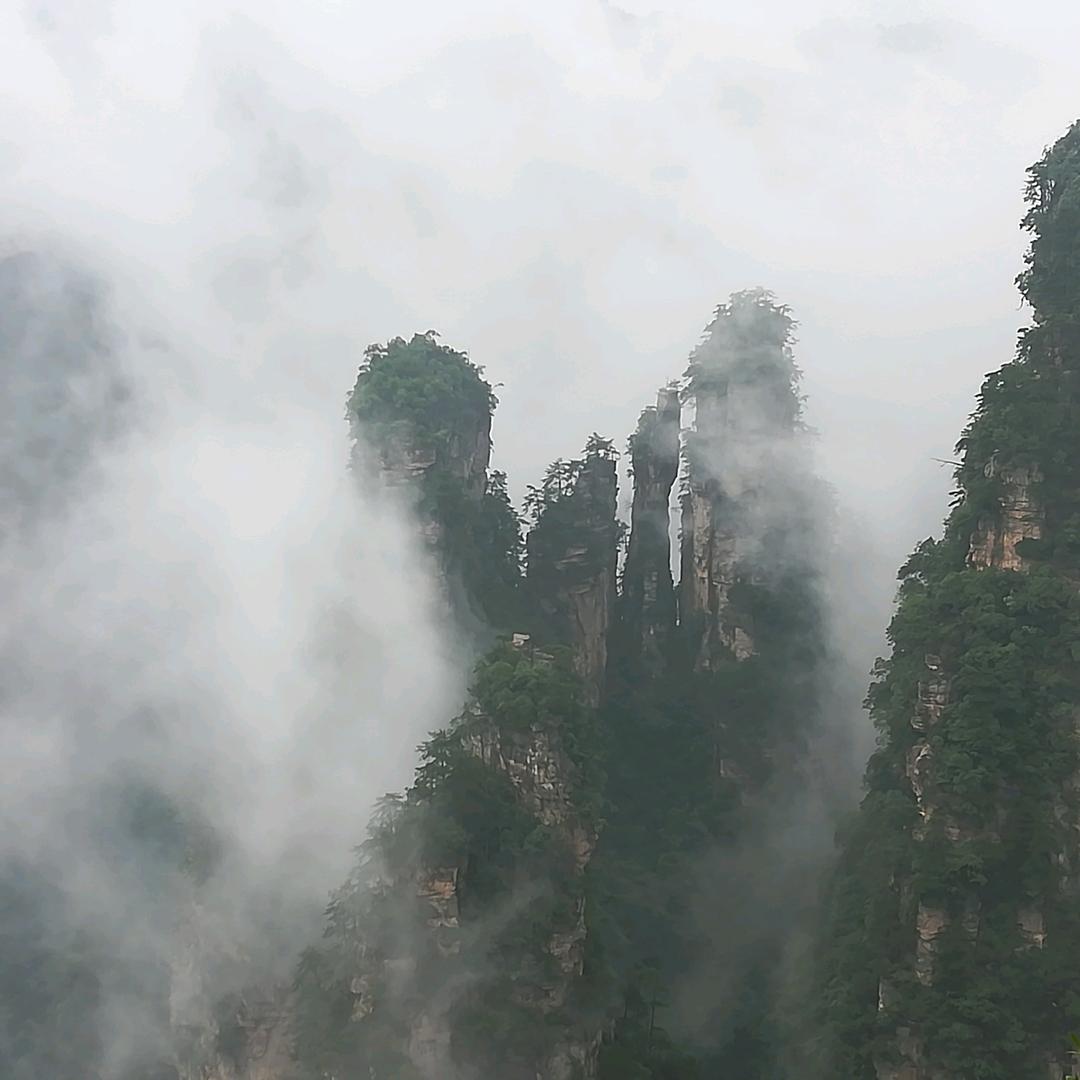 一路有你0