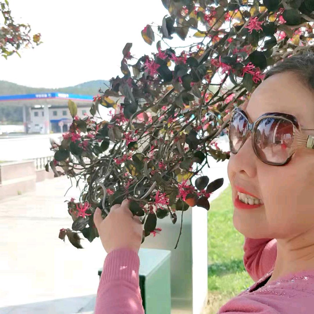 敏华爱舞