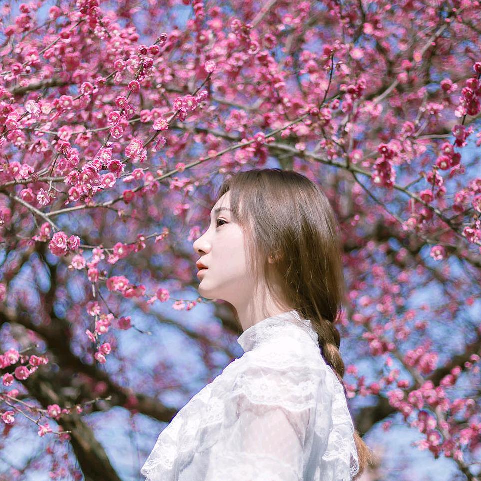 用户香