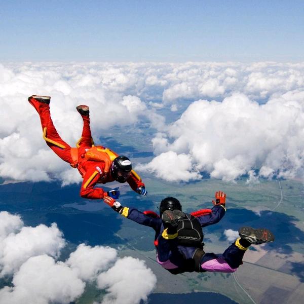 春来到  花痴笑