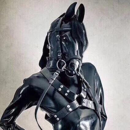 鲁道夫·亚历山大·安大略斯基