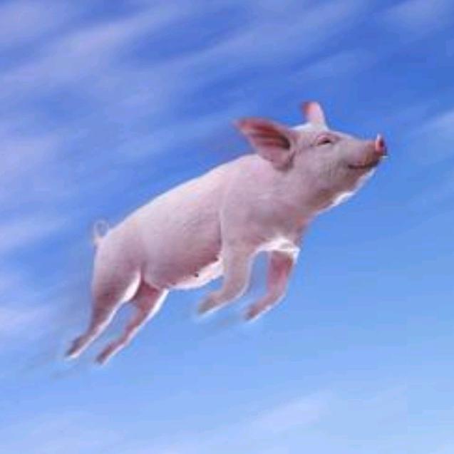 平凡的农家生活