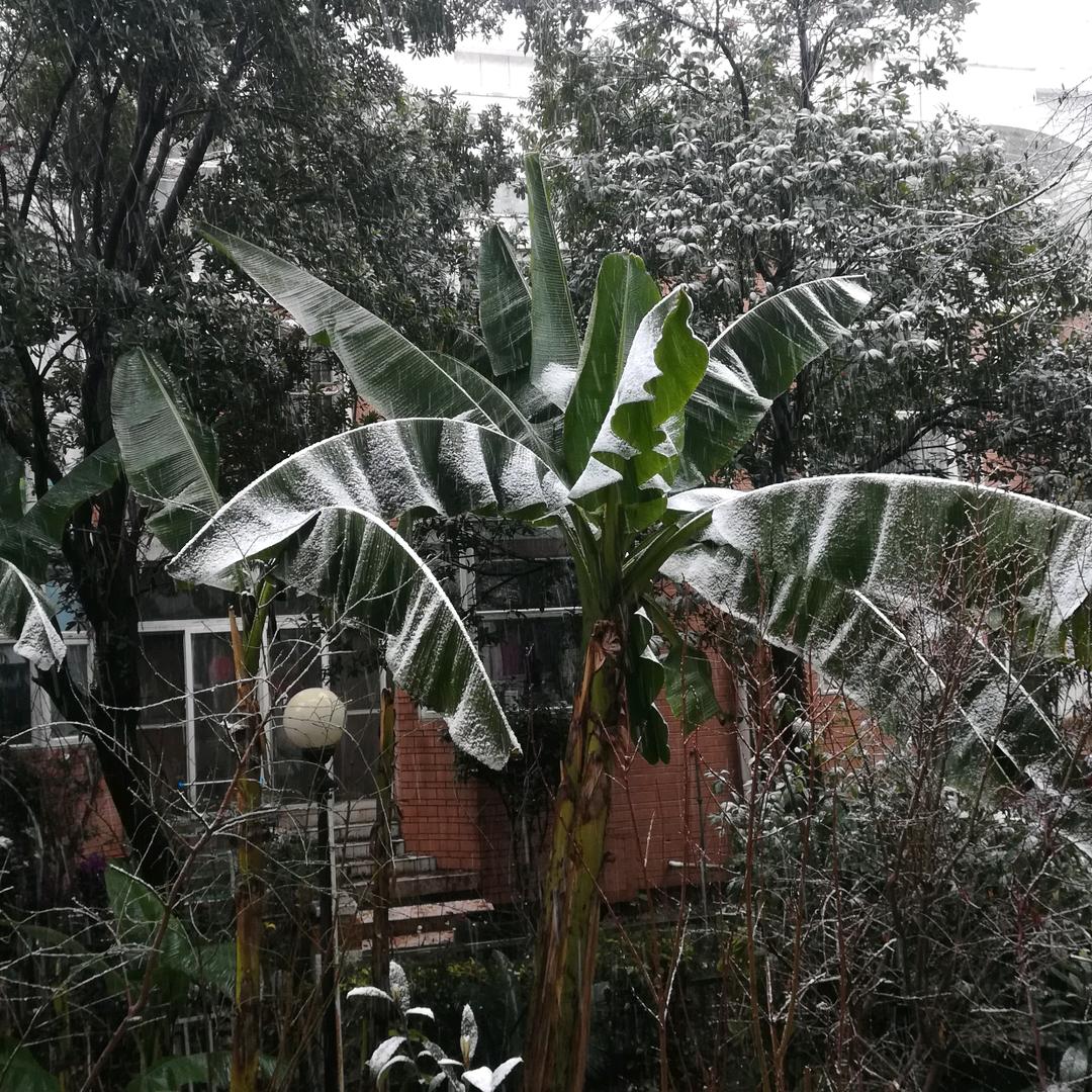热爱生长的地方