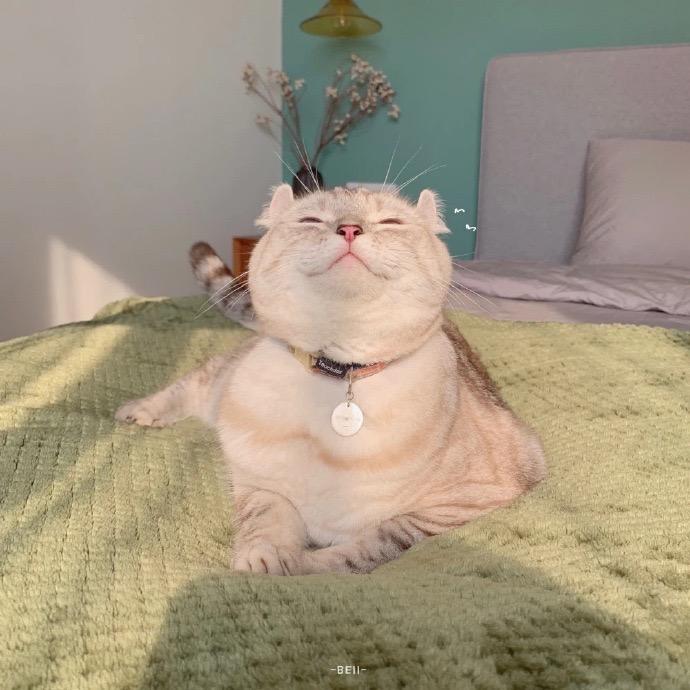 🌈清茶与酒