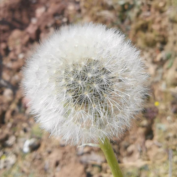 断剑重铸之日