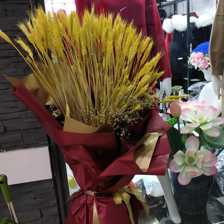 心随舞动