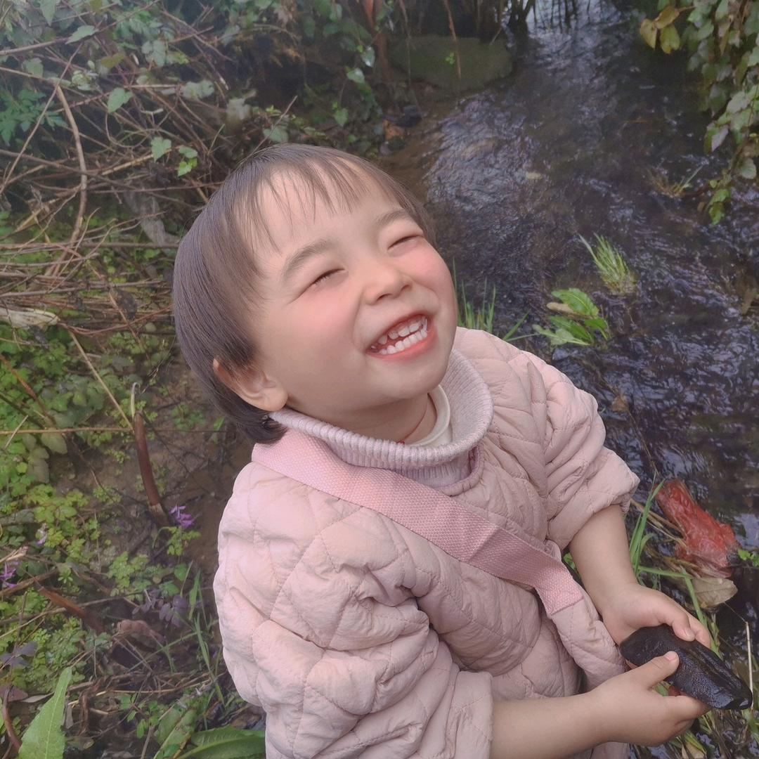 一帆风顺