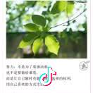 乐乐