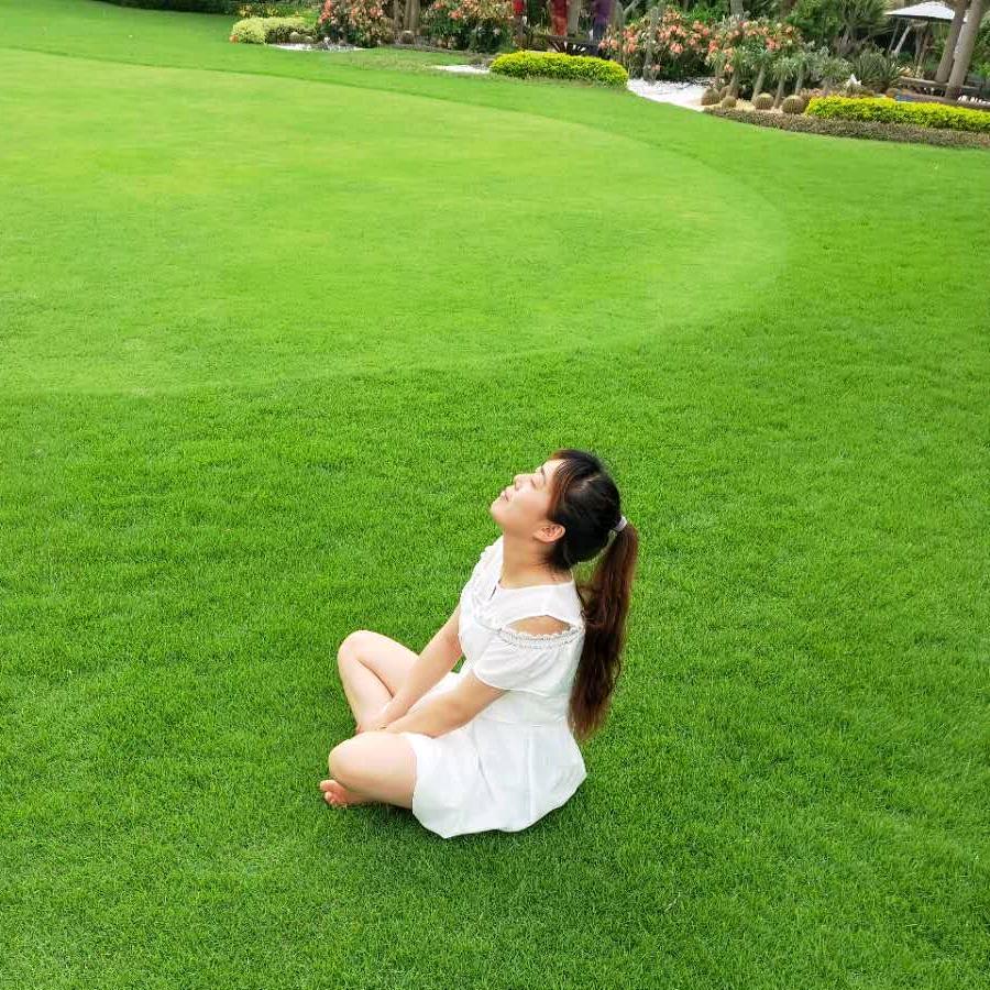 梦