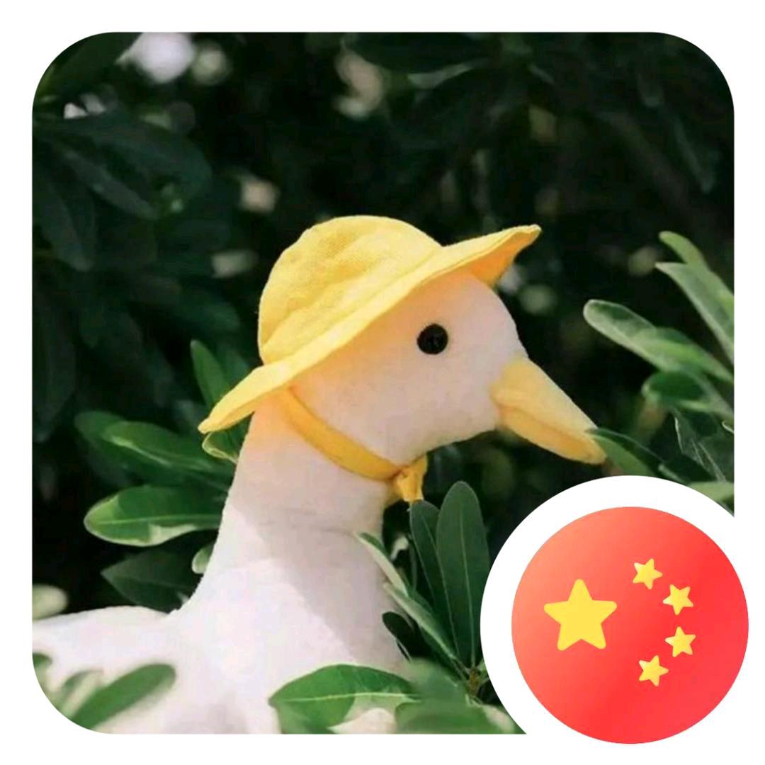 我是丑小鸭