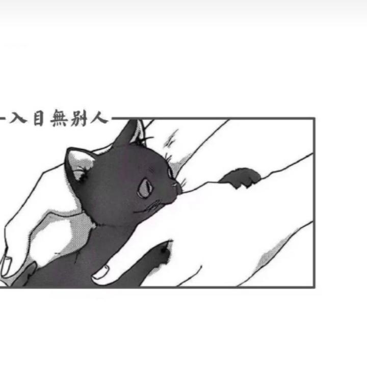睡觉