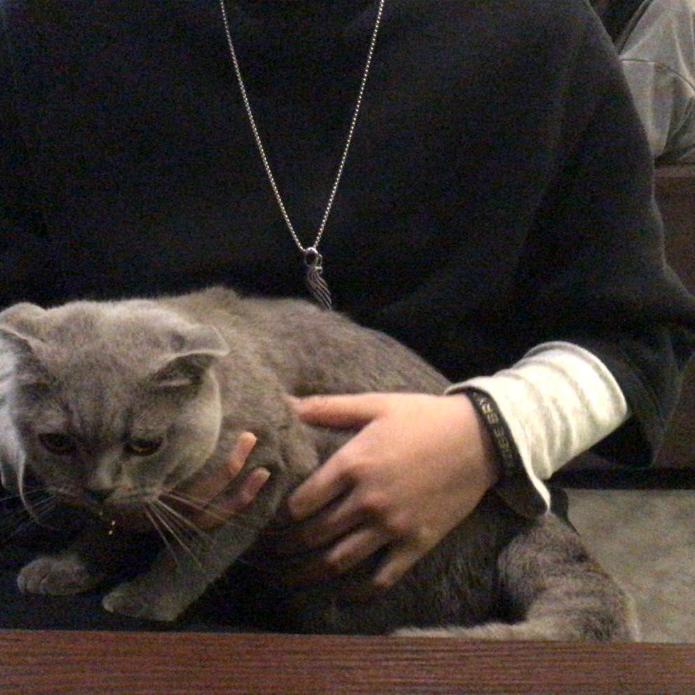 听海风