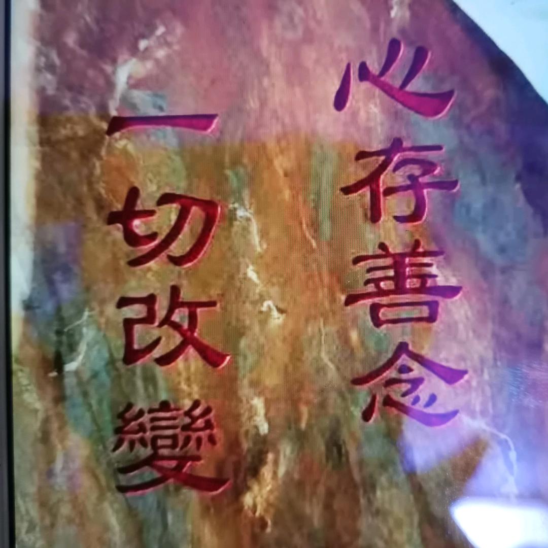 飞鹰