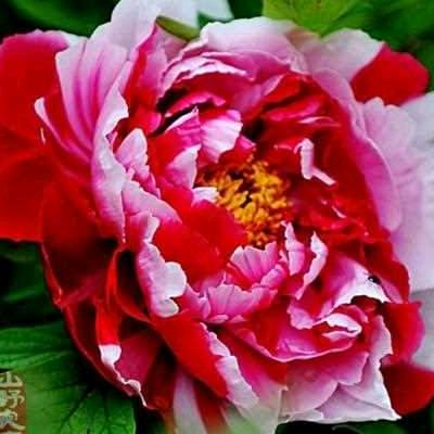 你等了那么久🌹🌹