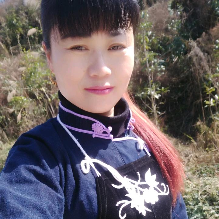 芙蓉