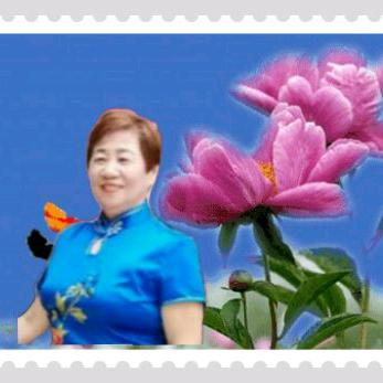 胡大姐