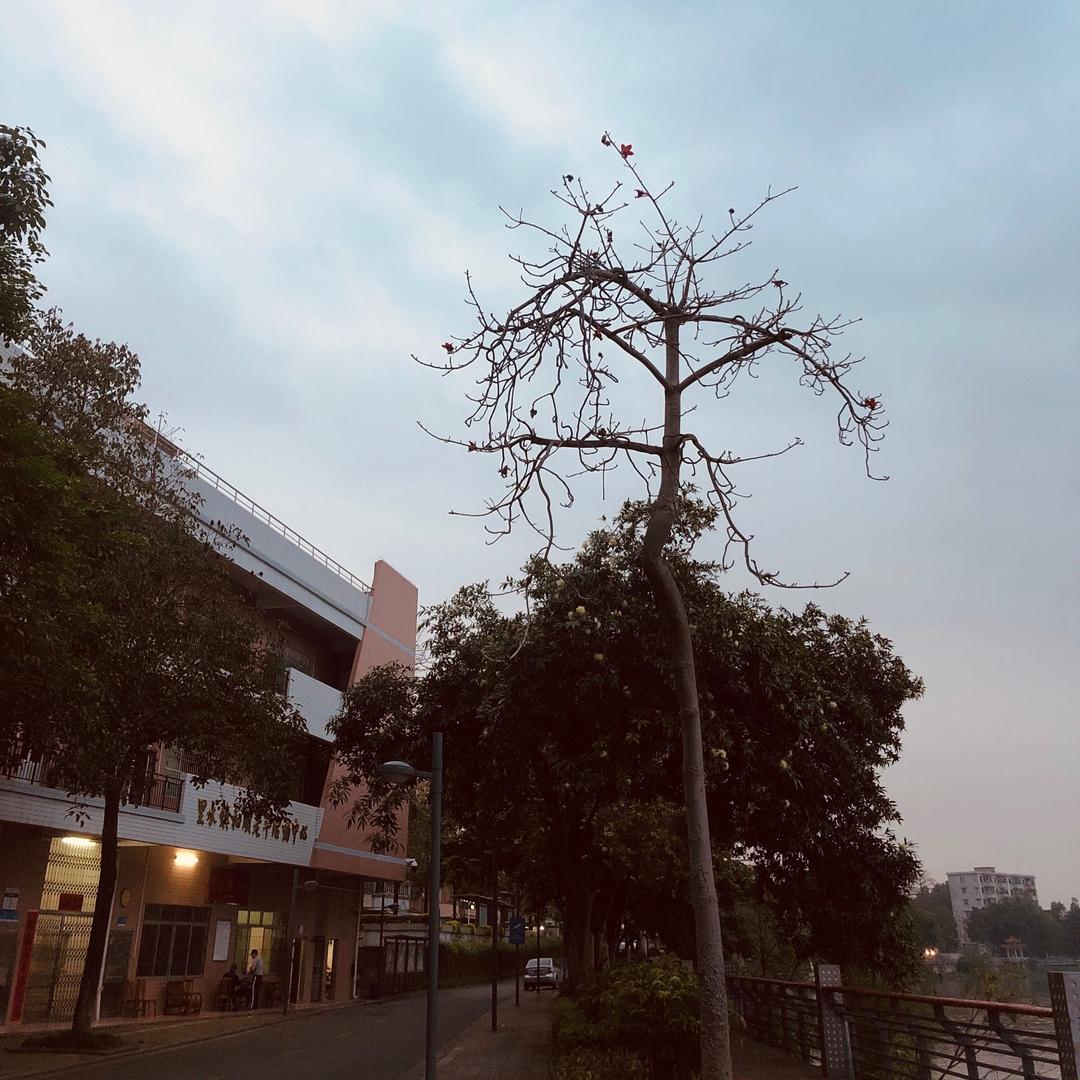@神仙不说慌