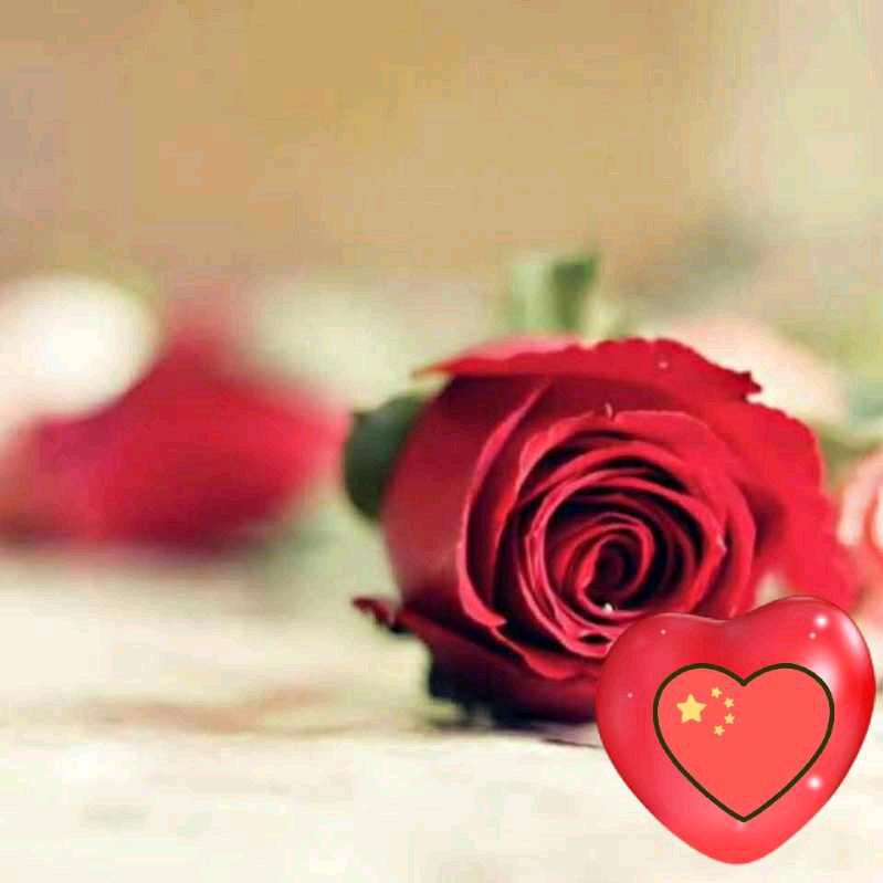🌸໑ຼₒ₂5ღ᭄水术年华🦋꧔ꦿ