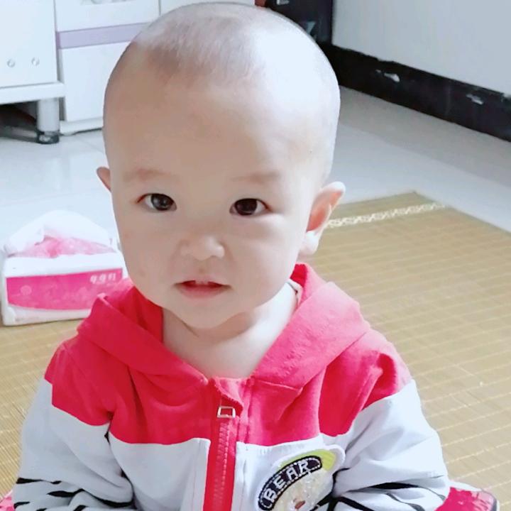 珍  珠
