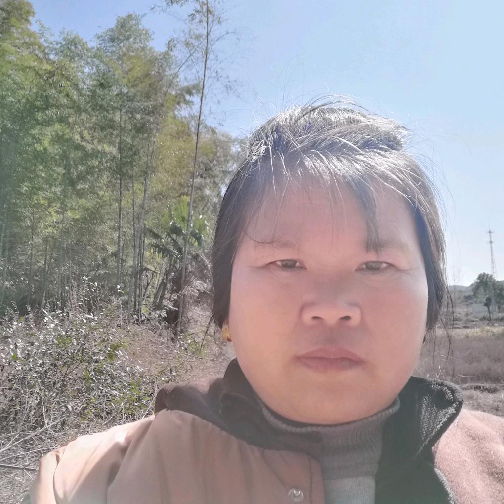 李杨梅
