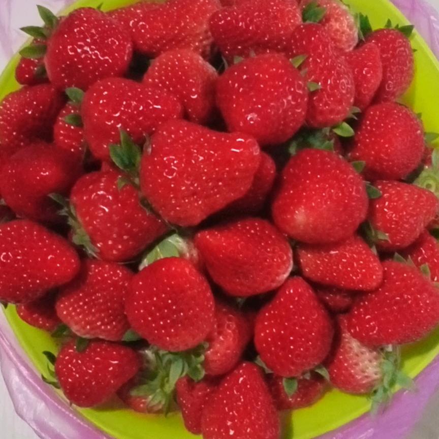 阿丽@蒙牛.伊利.光明.近期牛奶代理