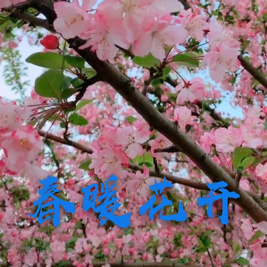 @石门尧业广场乐宝贝儿童乐园